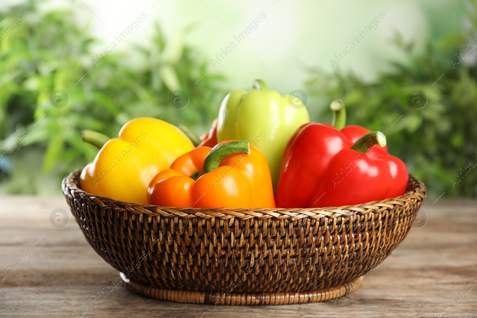 Photo of Wicker bowl with ripe bell peppers on wooden table against blurred background