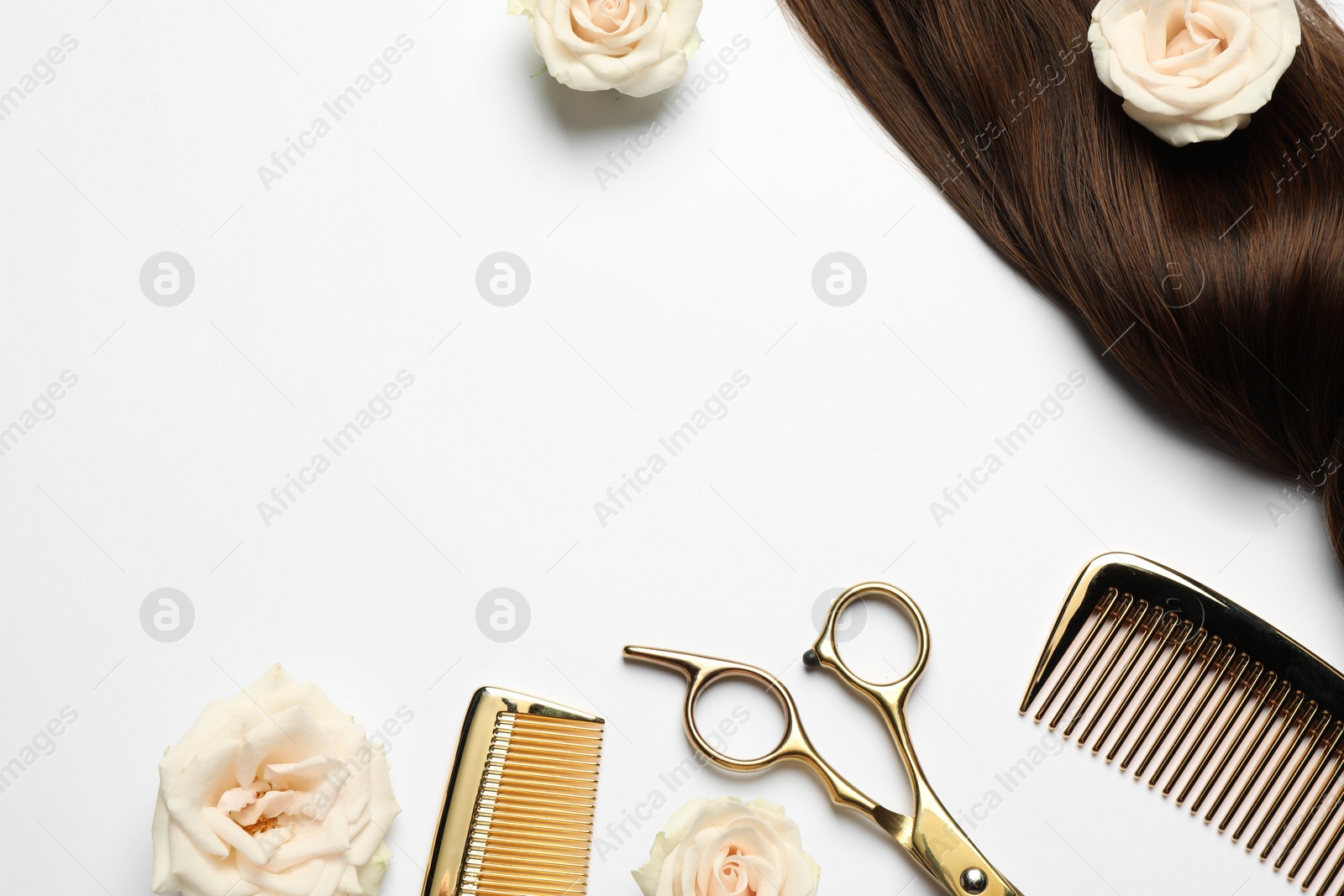 Photo of Hairdresser tools. Brown hair lock, combs, scissors and flowers on white background, flat lay. Space for text