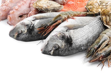 Photo of Fresh dorado fish, octopus, oysters and shrimps on white background, closeup