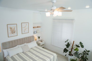 Ceiling fan, bed and houseplants in stylish bedroom, above view