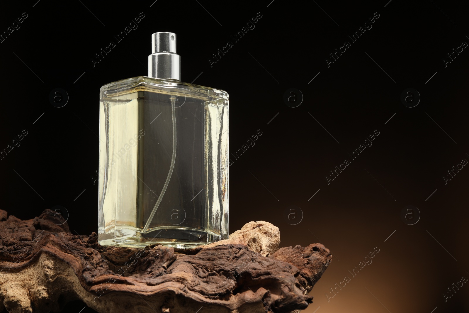 Photo of Luxury men`s perfume in bottle against dark background, space for text