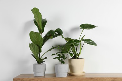 Many different houseplants in pots on wooden table near white wall