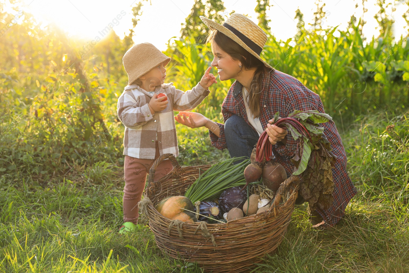 Photo of Mother and daughter harvesting different fresh ripe vegetables on farm