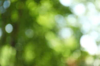 Photo of Blurred view of abstract green background. Bokeh effect