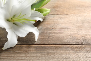 Image of Beautiful lily flower on wooden background. Space for text