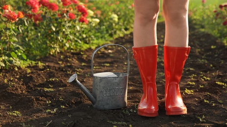 Woman with watering can near rose bushes outdoors, closeup. Gardening tool