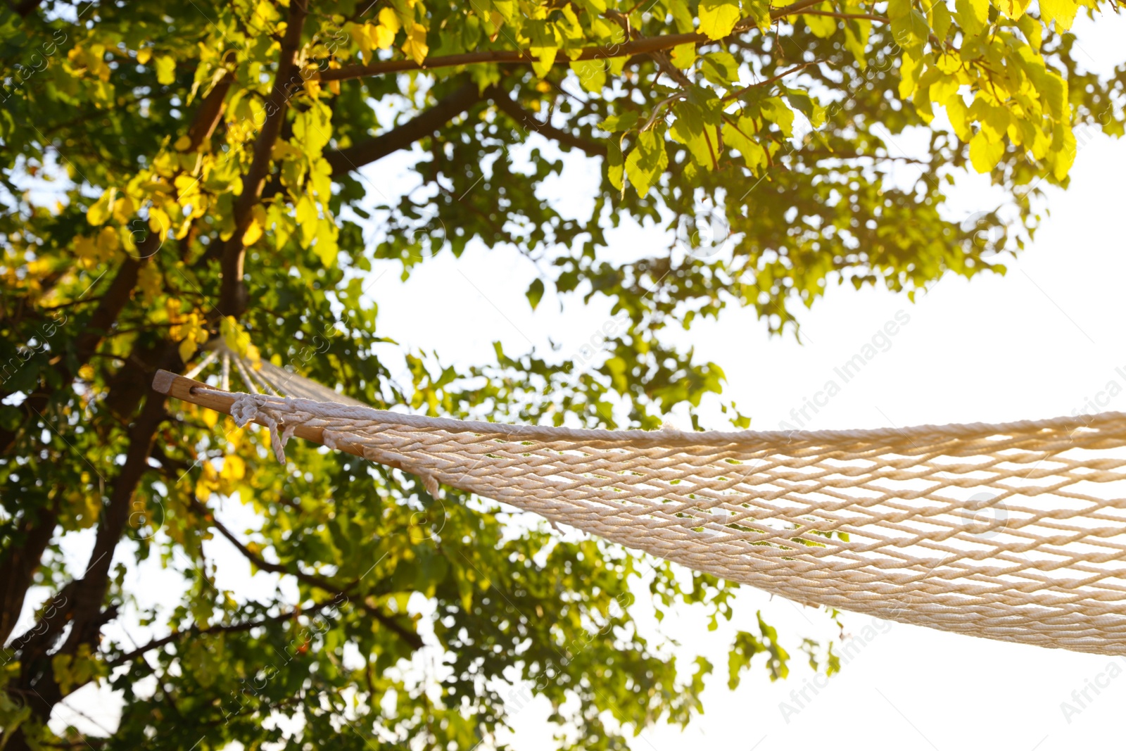 Photo of Empty hammock hanging outdoors. Time to relax