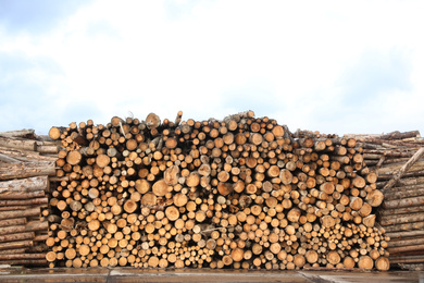 Photo of Stacked firewood outdoors. Heating house in winter