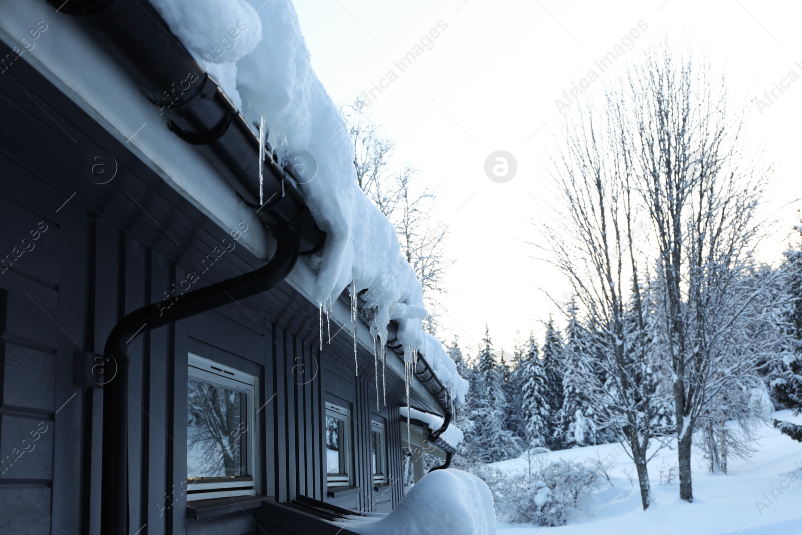 Photo of Beautiful view of wooden house with icicles near snowy trees and bushes on winter day