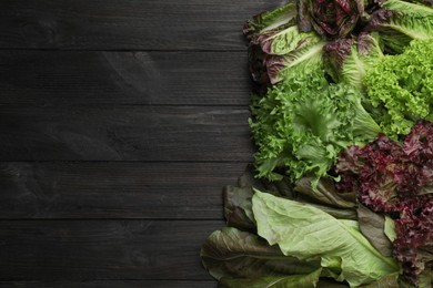 Different sorts of lettuce on black wooden table, flat lay. Space for text