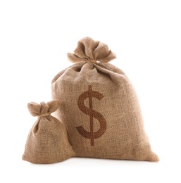 Image of Burlap bags and one with dollar sign on white background