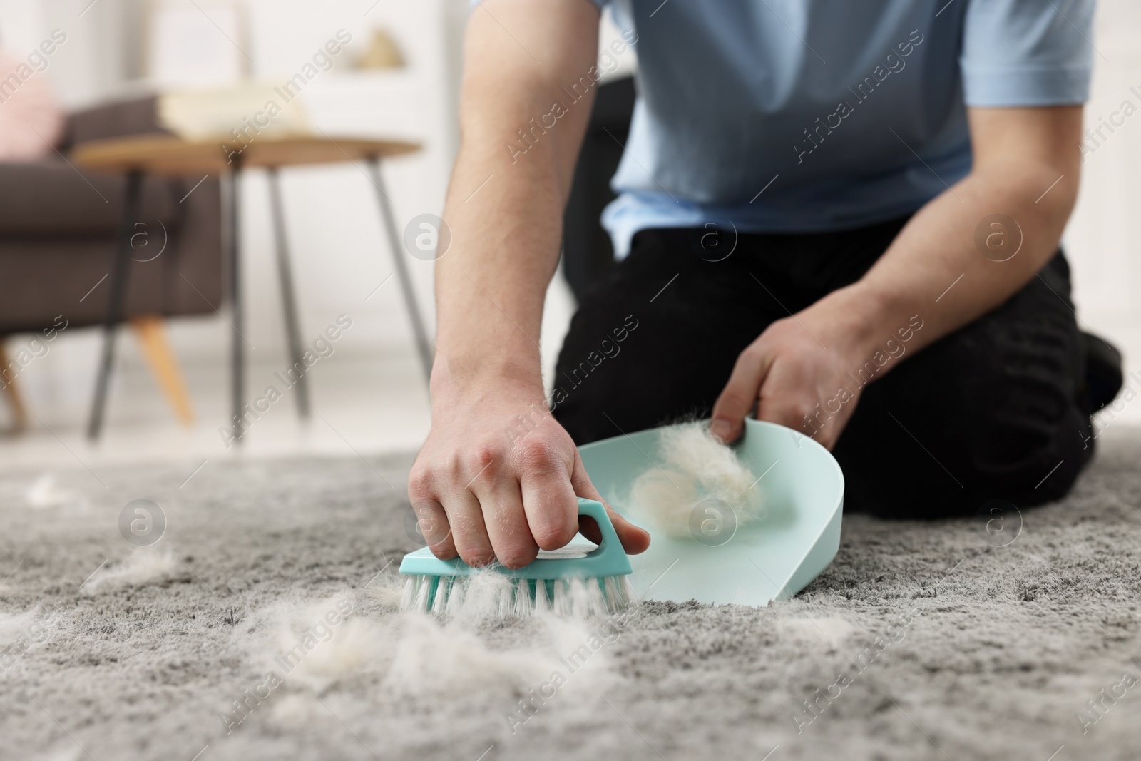 Photo of Man with brush and pan removing pet hair from carpet at home, closeup