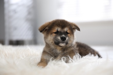 Photo of Cute Akita Inu puppy on fluffy rug indoors