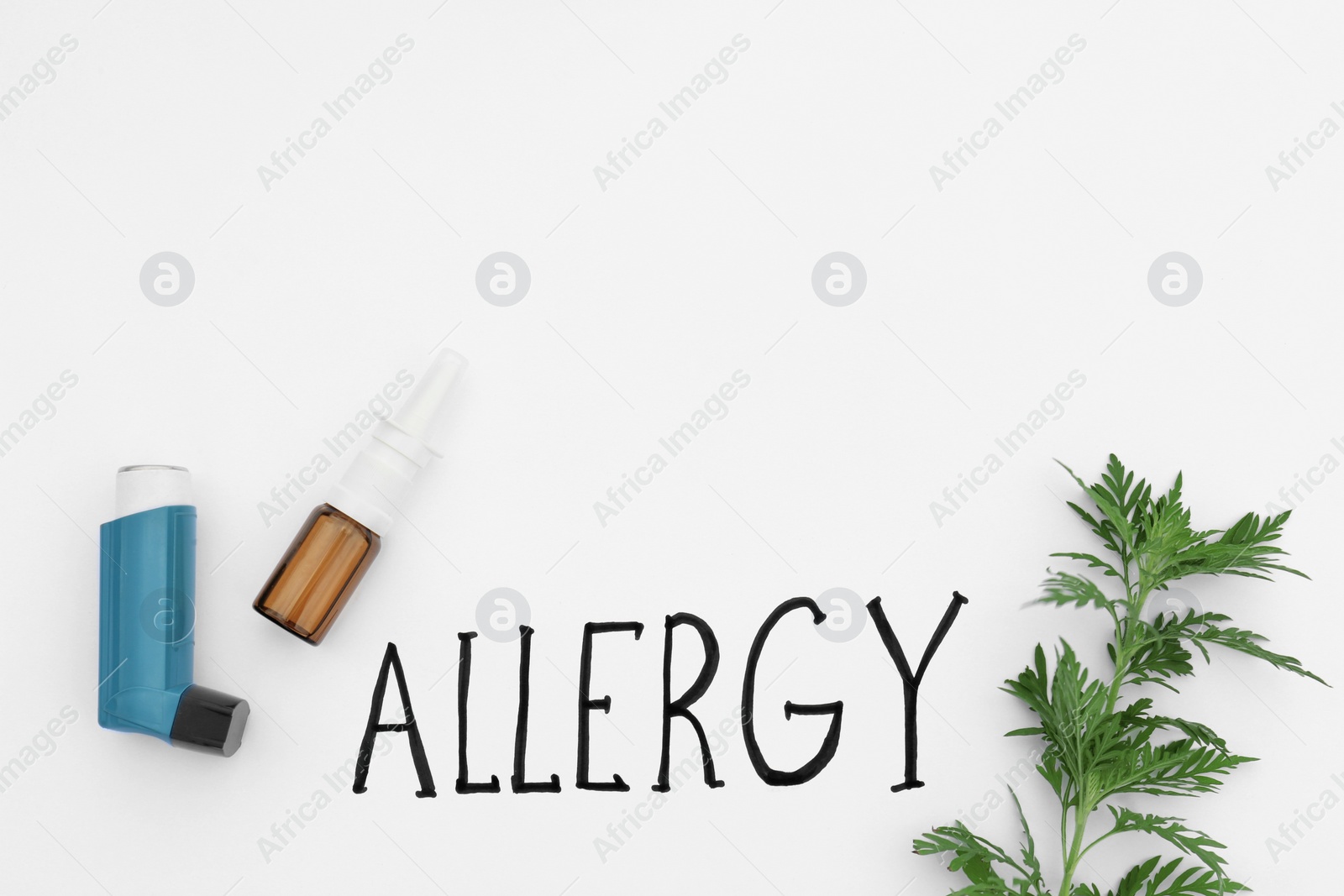 Photo of Ragweed plant (Ambrosia genus), asthma inhaler, medicament spray and word "ALLERGY" written on white background, top view