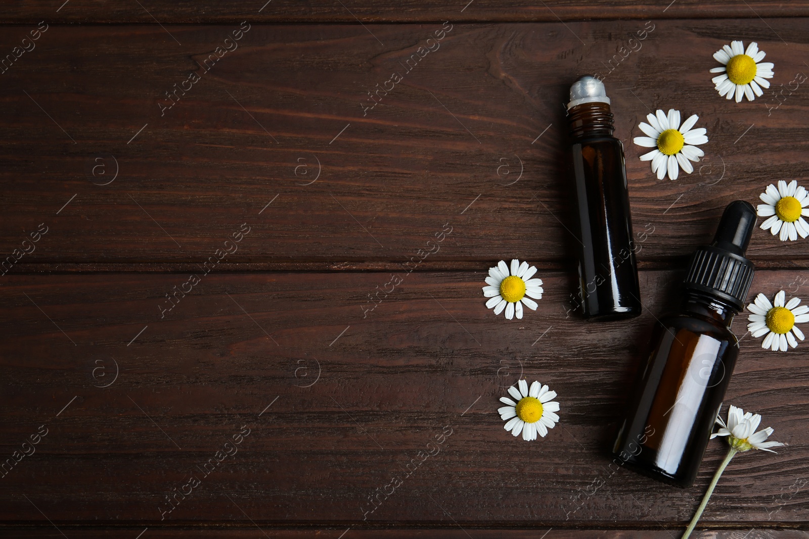 Photo of Bottles of essential oil and chamomiles on wooden table, flat lay. Space for text