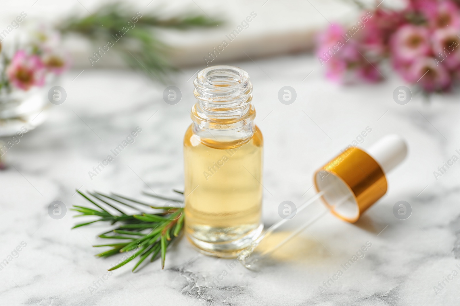 Photo of Composition with bottle of natural tea tree oil on white marble table