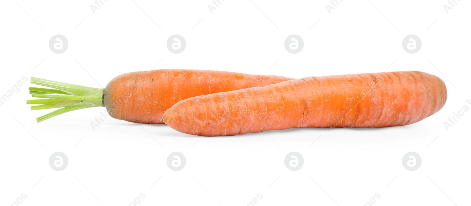 Photo of Fresh ripe juicy carrots isolated on white