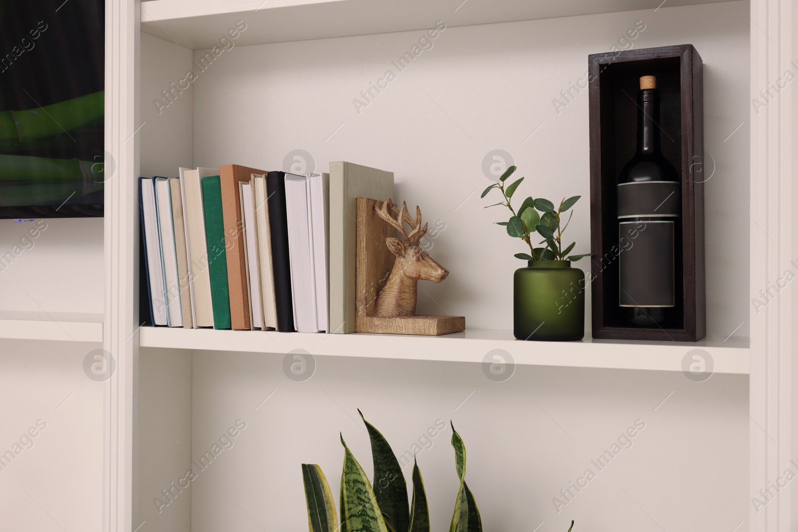 Photo of Shelves with houseplants, books and wine bottle indoors. Interior design