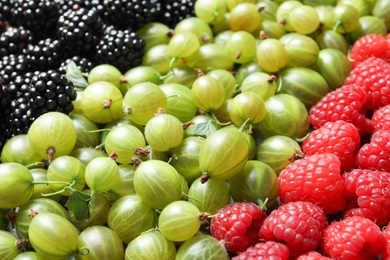 Raspberries, blackberries and gooseberries as background