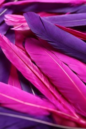Photo of Many different bright feathers as background, closeup