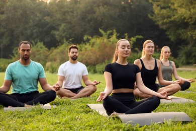 Photo of Group of people practicing yoga on mats outdoors. Lotus pose