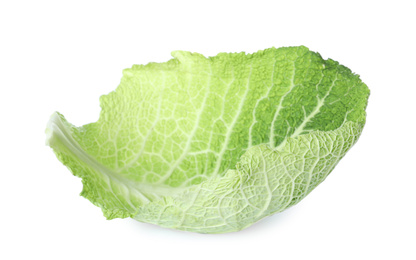 Fresh savoy cabbage leaf isolated on white