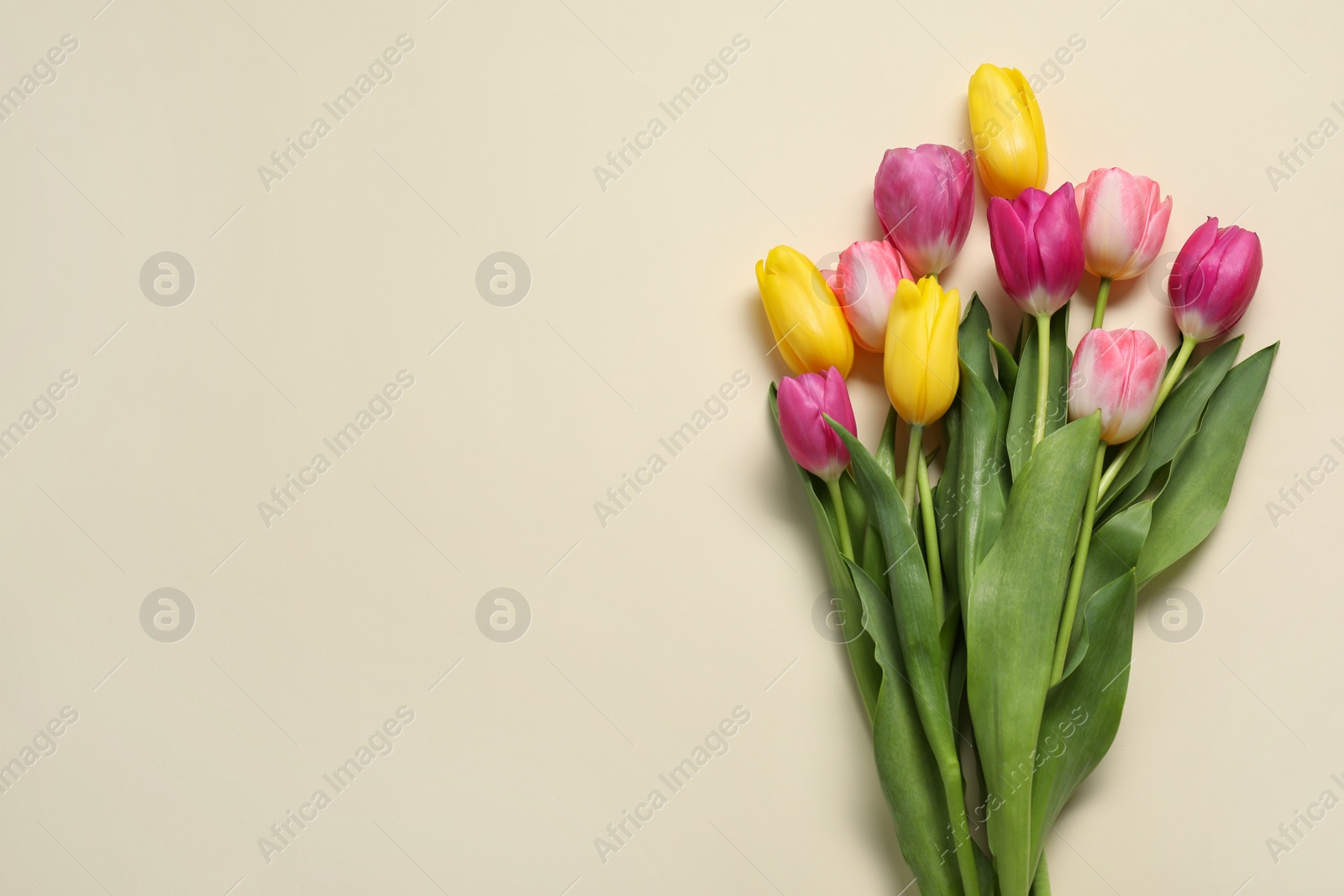 Photo of Beautiful colorful tulip flowers on beige background, flat lay. Space for text