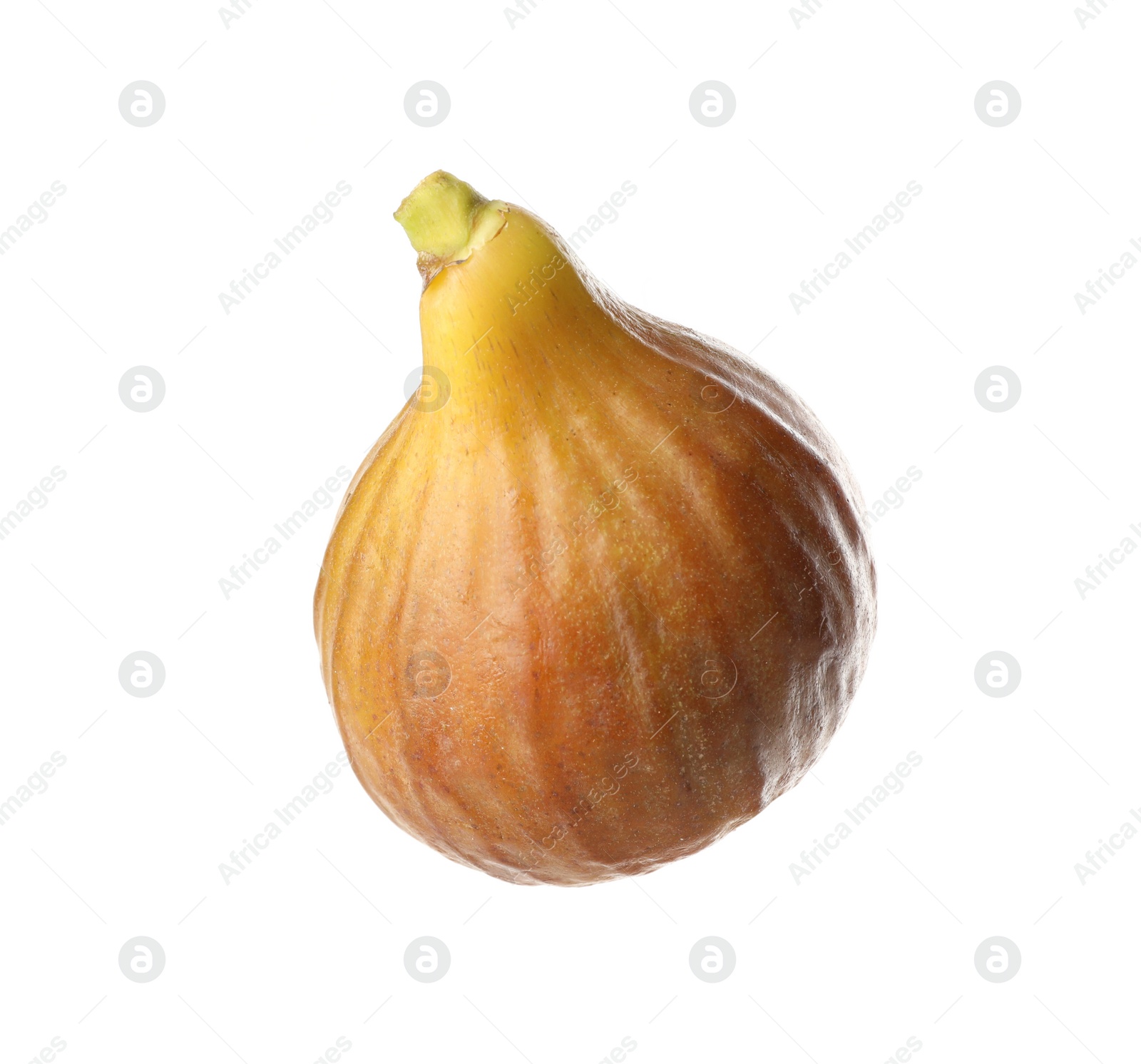 Photo of Whole tasty ripe fig isolated on white