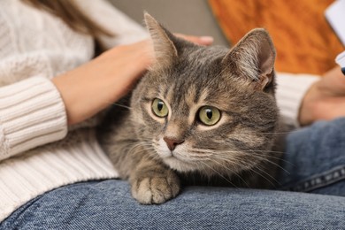Photo of Woman with grey tabby cat at home, closeup. Cute pet