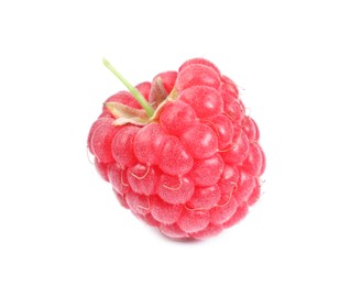 One tasty ripe raspberry isolated on white