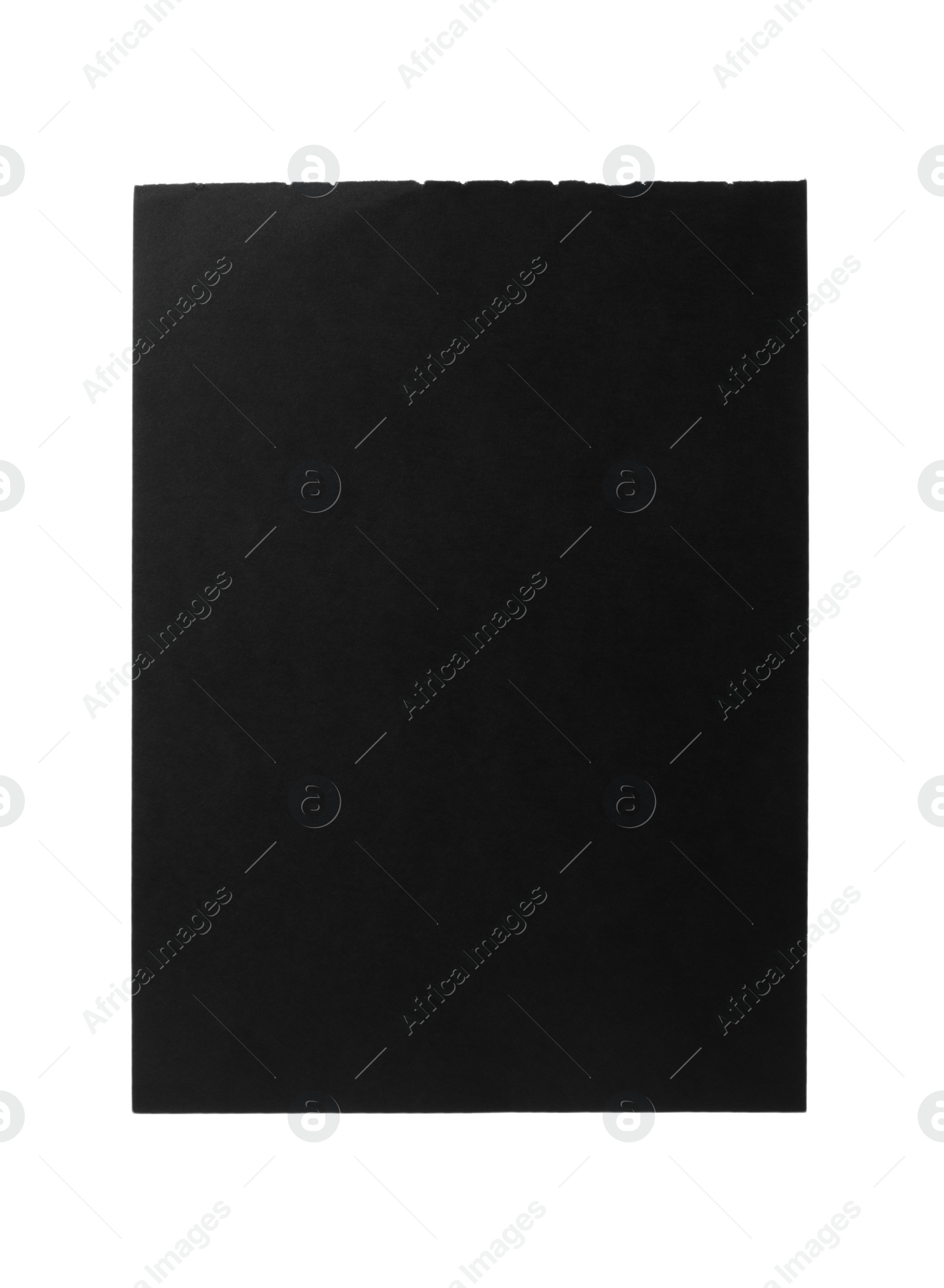 Photo of Blank notebook paper isolated on white. Space for design