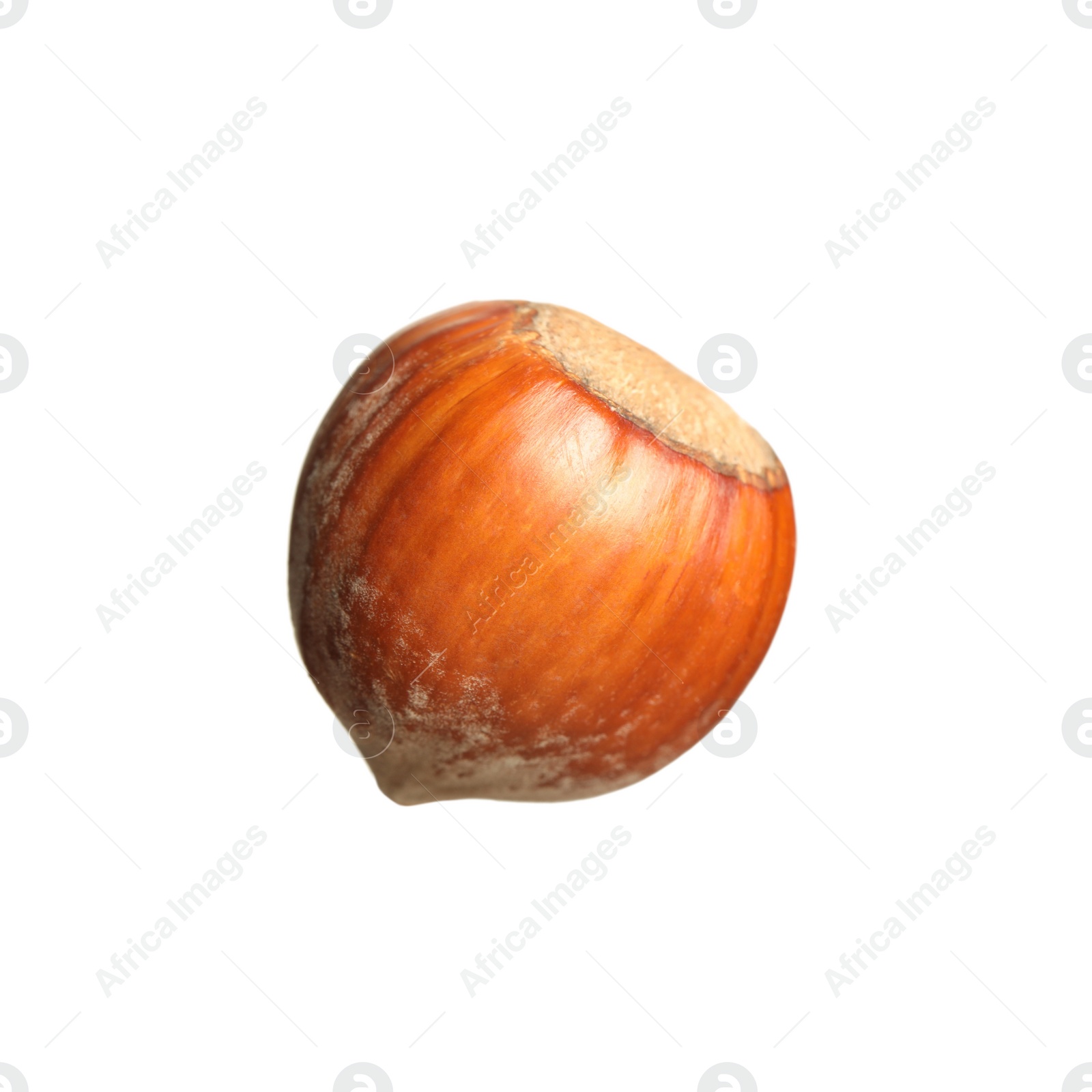 Photo of Tasty organic hazelnut isolated on white. Healthy snack