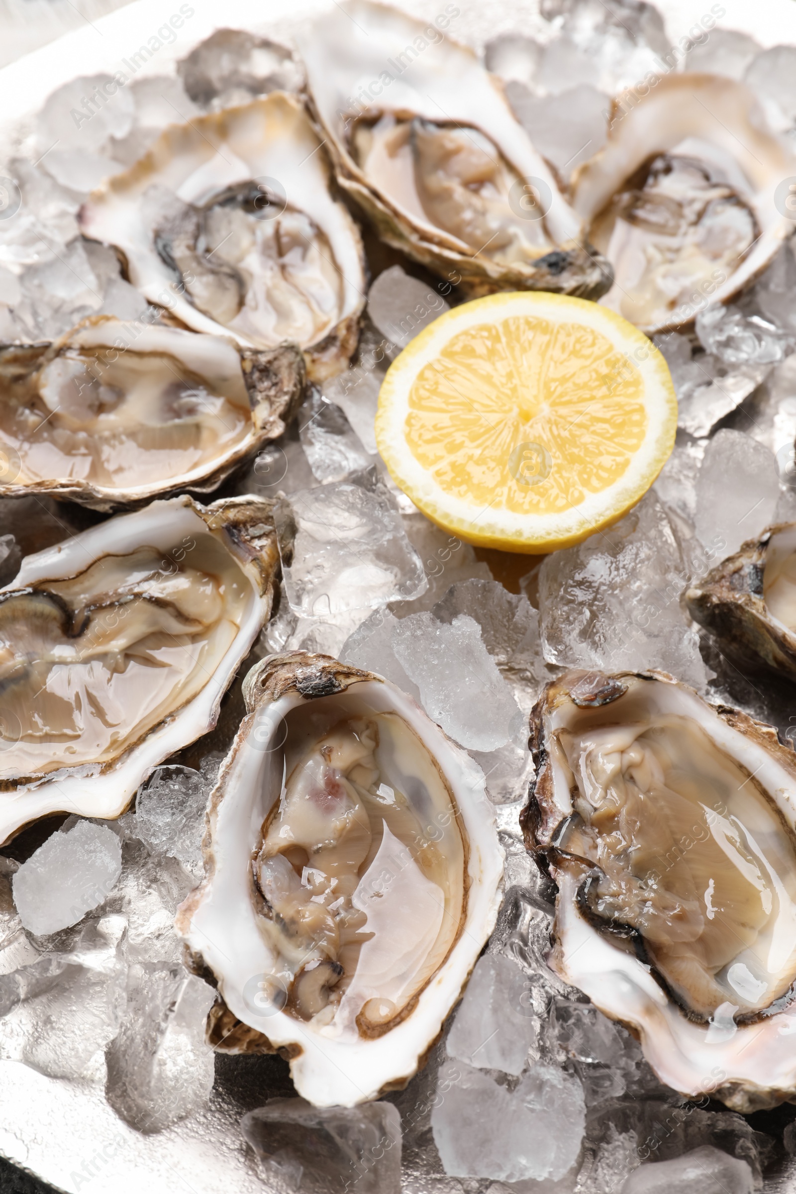 Photo of Delicious fresh raw oysters with lemon on ice, closeup