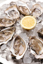 Photo of Delicious fresh raw oysters with lemon on ice, closeup