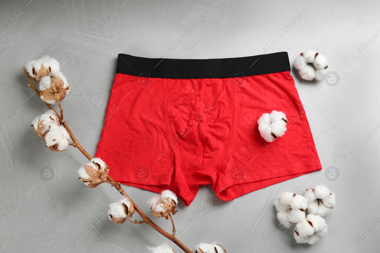 Photo of Men's underwear and cotton flowers on light background, flat lay