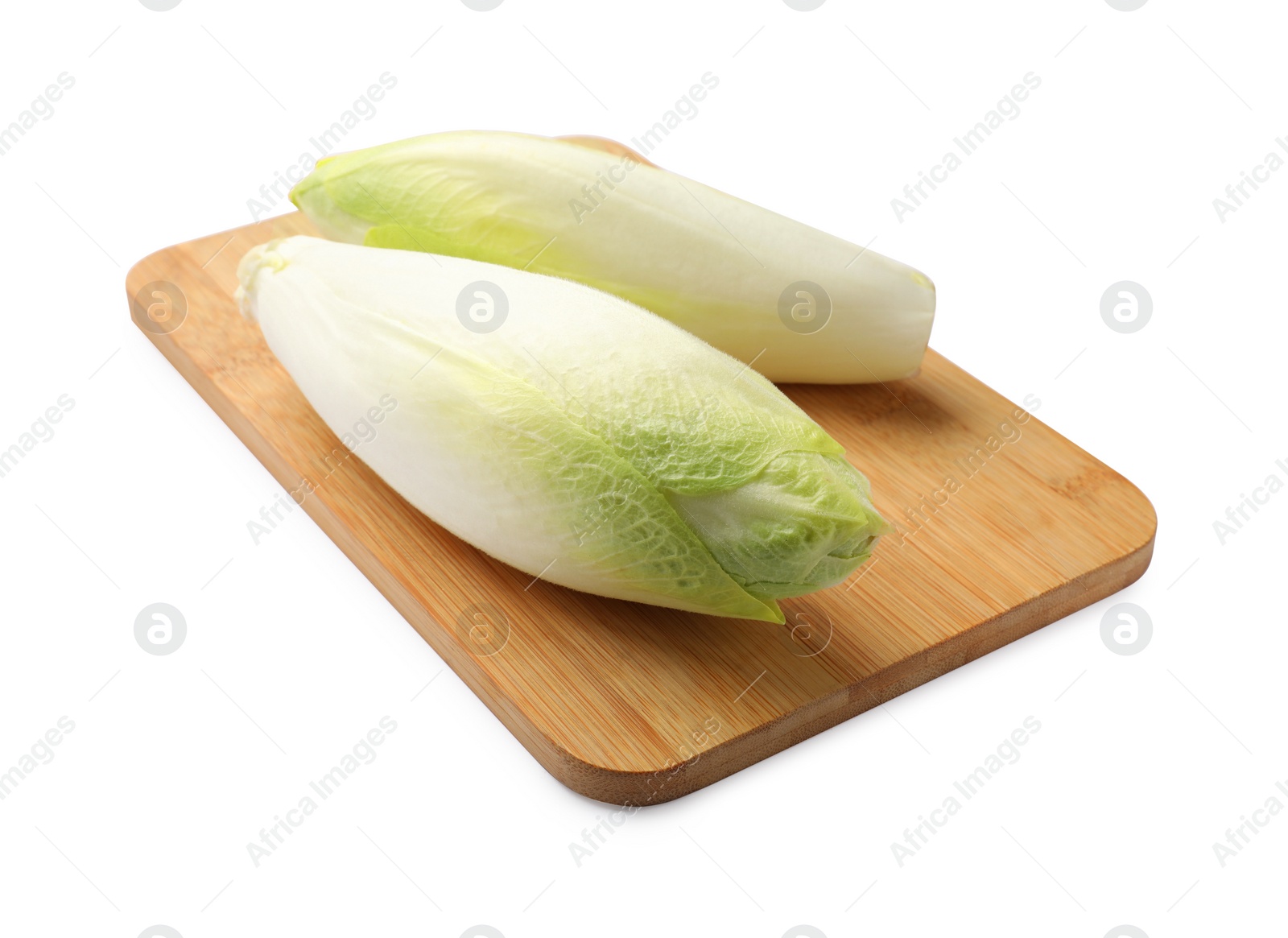 Photo of Raw ripe chicories on white background. Belgian endive