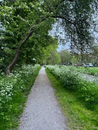 Photo of Pathway and plants near canal outdoors on spring day