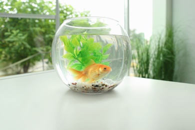 Photo of Beautiful bright small goldfish in round glass aquarium on table indoors