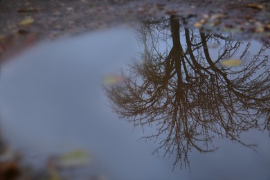 View of puddle with fallen leaves outdoors, closeup. Rainy autumn weather