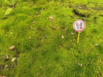 Photo of Bright moss and sign Do Not Walk on ground outdoors, above view