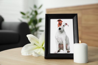Photo of Pet funeral. Frame with picture of dog, burning candle and lily flower on wooden table indoors