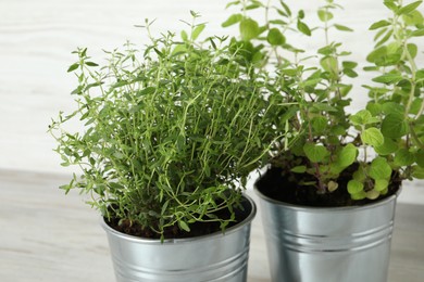 Different aromatic potted herbs on light table, closeup
