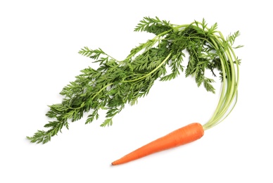 Fresh ripe carrot on white background, top view