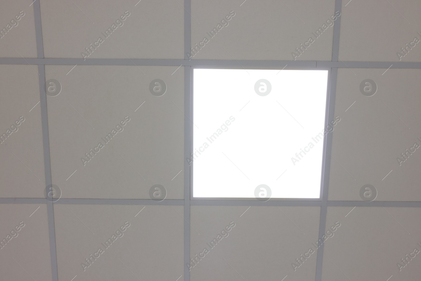 Photo of White ceiling with PVC tiles and lighting, bottom view