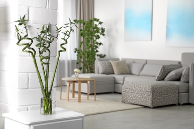 Photo of Vase with bamboo stems on cabinet in living room, space for text