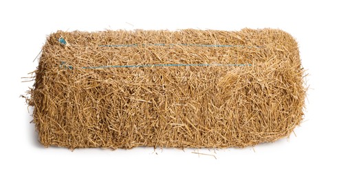 Bale of dried straw isolated on white