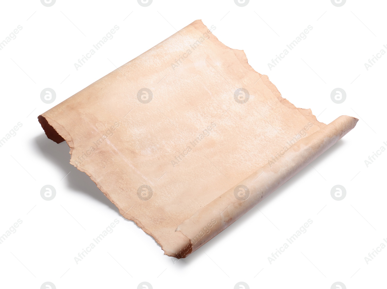 Photo of Blank sheet of old parchment paper on white background