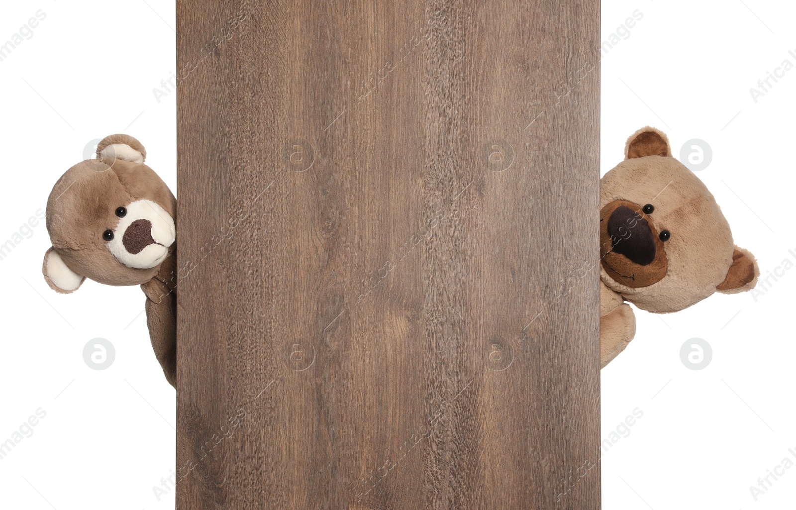 Photo of Cute teddy bears peeking out of wooden board on white background