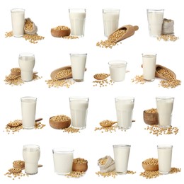 Image of Set with natural soy milk and beans on white background