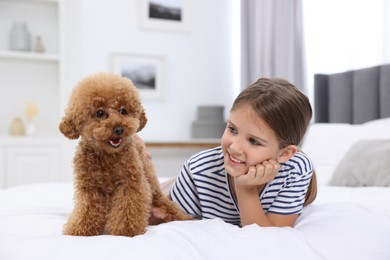 Photo of Little child and cute puppy on bed at home. Lovely pet
